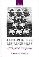 Lie Groups And Lie Algebras A Physicists Perspective 1st Ed Adam M Bincer