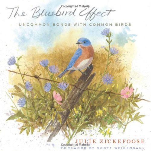 The Bluebird Effect Uncommon Bonds With Common Birds Julie Zickefoose