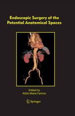 Endoscopic Surgery Of The Potential Anatomical Spaces 1st Edition Attilio Maria Farinon Md