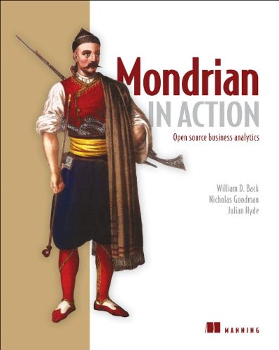 Mondrian In Action Open Source Business Analytics William D Back