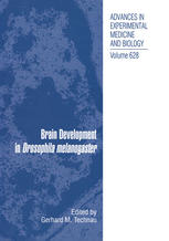 Brain Development In Drosophila Melanogaster 1st Edition Volker Hartenstein