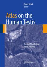 Atlas On The Human Testis Normal Morphology And Pathology 1st Edition Ivan Krhen Md