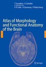 Atlas Of Morphology And Functional Anatomy Of The Brain 1st Edition T Scarabino