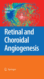 Retinal And Choroidal Angiogenesis 1st Edition M A Behzadian