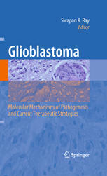 Glioblastoma Molecular Mechanisms Of Pathogenesis And Current Therapeutic Strategies 1st Edition Herbert B Newton Auth