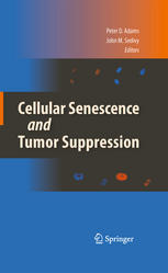 Cellular Senescence And Tumor Suppression 1st Edition Laura Gardano