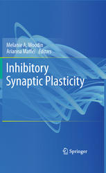 Inhibitory Synaptic Plasticity 1st Edition Lang Wang Arianna Maffei Auth