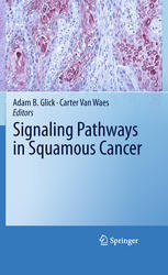 Signaling Pathways In Squamous Cancer 1st Edition Barry L Ziober