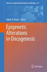 Epigenetic Alterations In Oncogenesis 1st Edition Bilian Jin