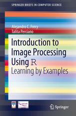 Introduction To Image Processing Using R Learning By Examples 1st Edition Alejandro C Frery