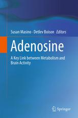 Adenosine A Key Link Between Metabolism And Brain Activity 1st Edition Bertil B Fredholm Auth
