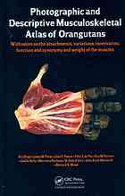 Photographic And Descriptive Musculoskeletal Atlas Of Orangutans With Notes On The Attachments Variations Innervation Function And Synonymy And Weight Of The Muscles Rui Diogo Josep M Potau