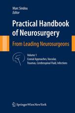 Practical Handbook Of Neurosurgery From Leading Neurosurgeons 1st Edition M G Yaargil Auth