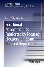 Functional Nanostructures Fabricated By Focused Electronion Beam Induced Deposition 1st Edition Rosa Crdoba Castillo Auth
