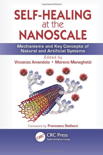 Selfhealing At The Nanoscale Mechanisms And Key Concepts Of Natural And Artificial Systems 1st Edition Vincenzo Amendola