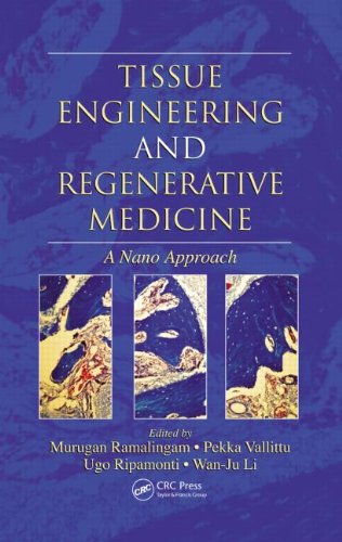 Tissue Engineering And Regenerative Medicine A Nano Approach 1st Edition Murugan Ramalingam