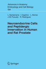 Neuroendocrine Cells And Peptidergic Innervation In Human And Rat Prostate 1st Edition Luis Santamara