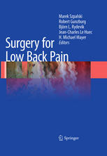Surgery For Low Back Pain 1st Edition Cornelia Neidlingerwilke