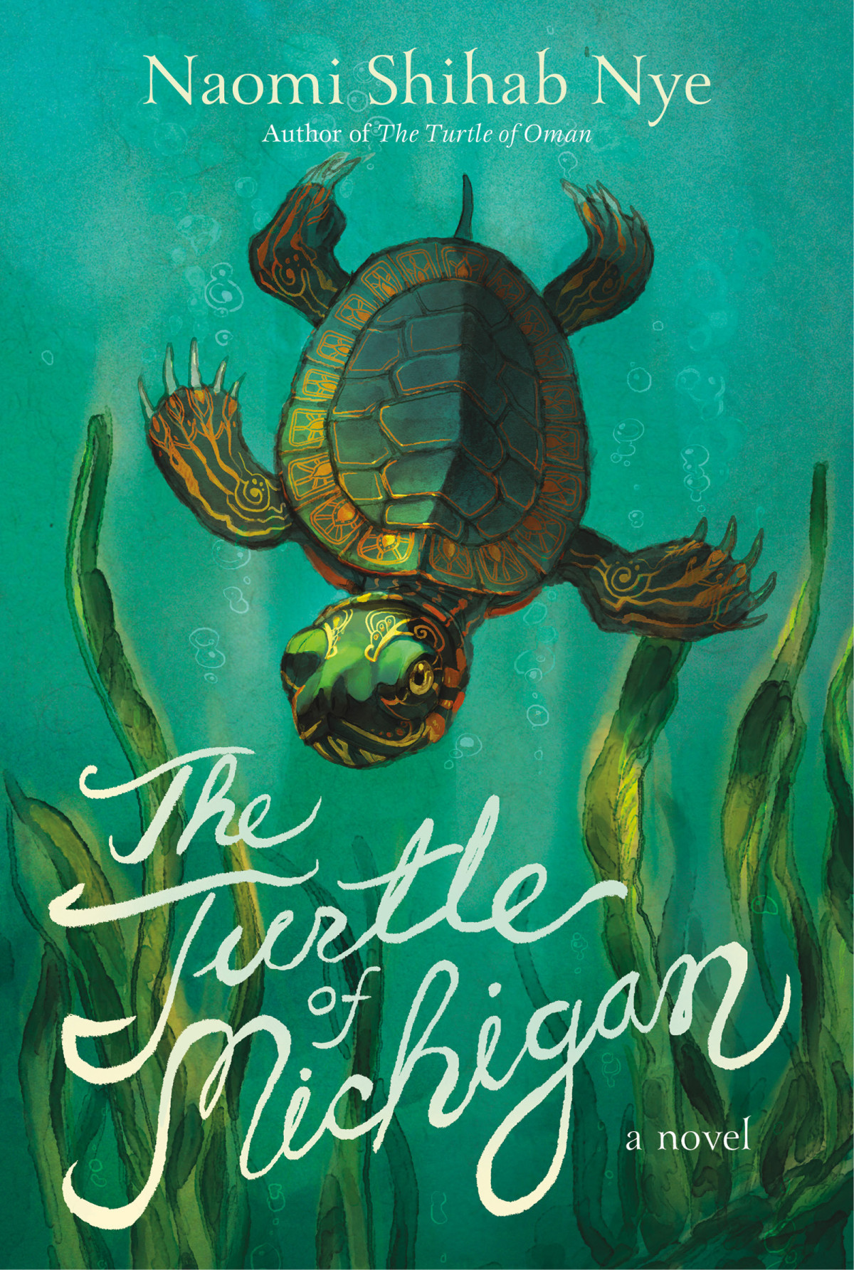 The Turtle Of Michigan Naomi Shihab Nye