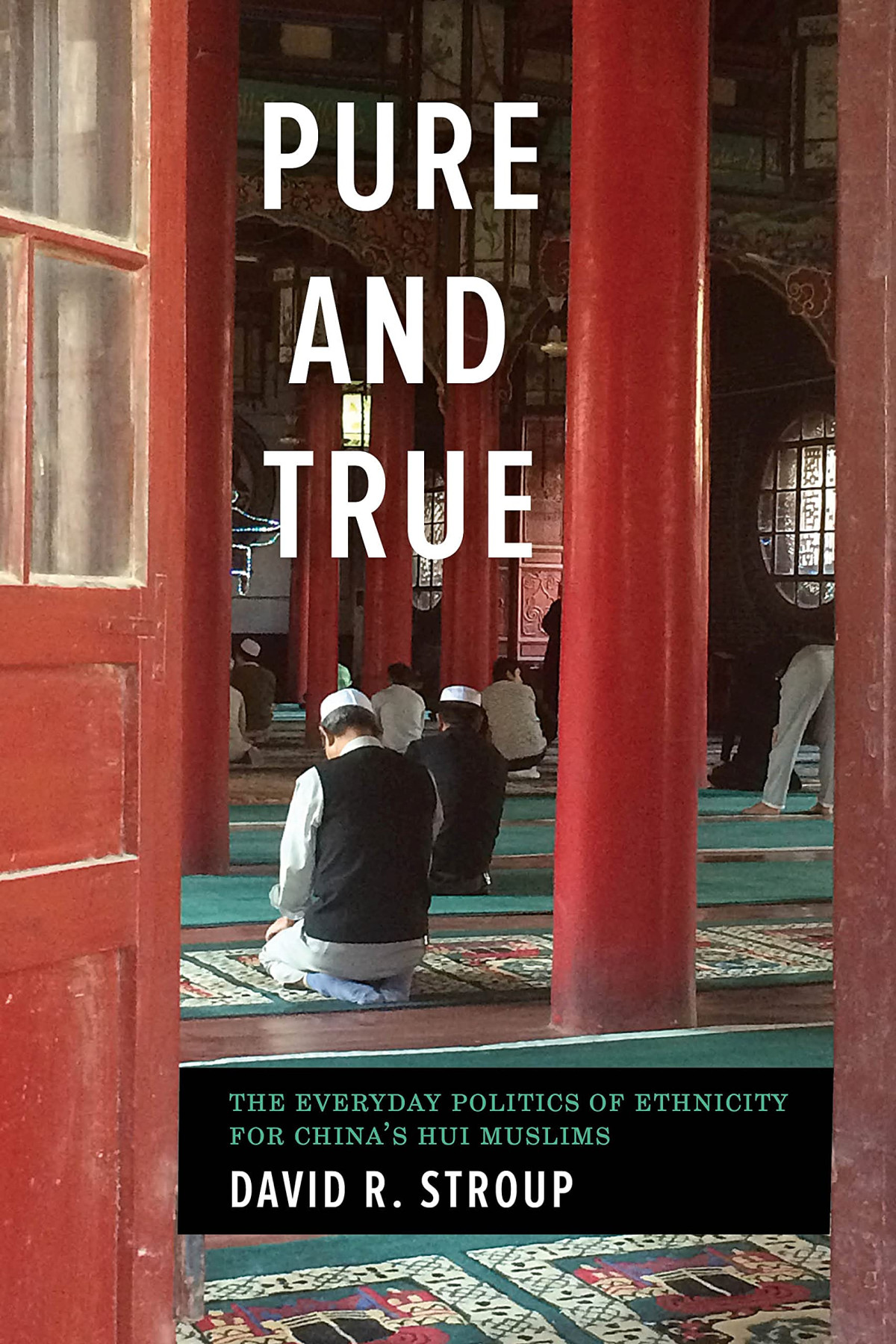 Pure And True The Everyday Politics Of Ethnicity For Chinas Hui Muslims David R Stroup