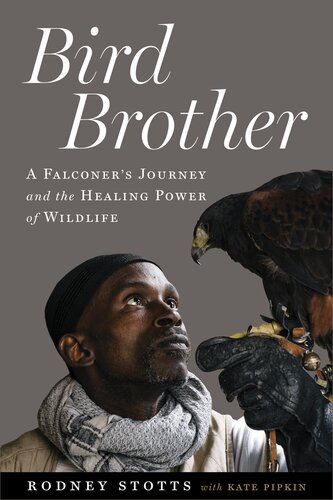 Bird Brother A Falconers Journey And The Healing Power Of Wildlife 1st Edition Rodney Stotts