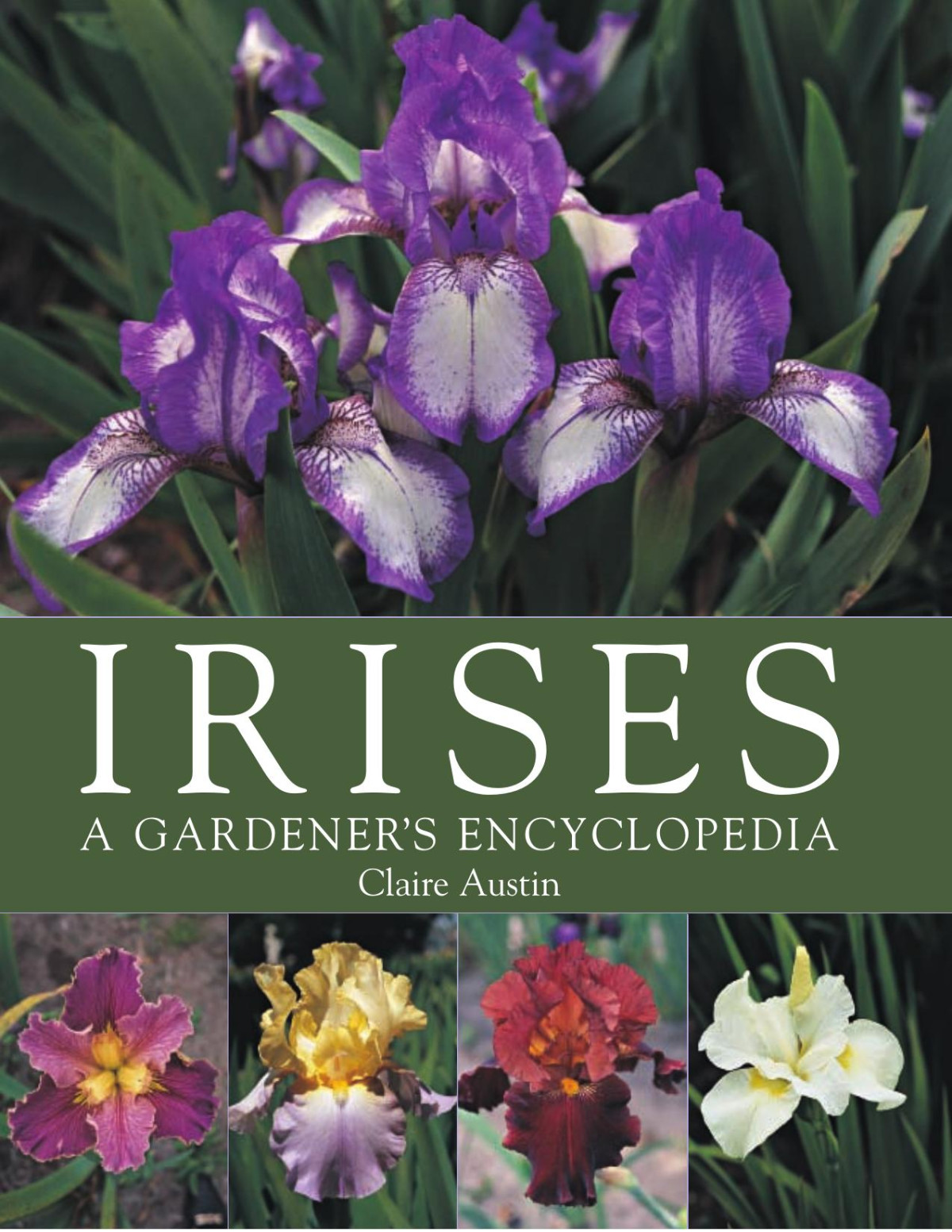 Irises A Gardeners Encyclopedia Claire Austin James W Waddick