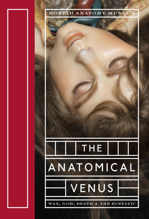 The Anatomical Venus Wax God Death The Ecstatic Joanna Ebenstein