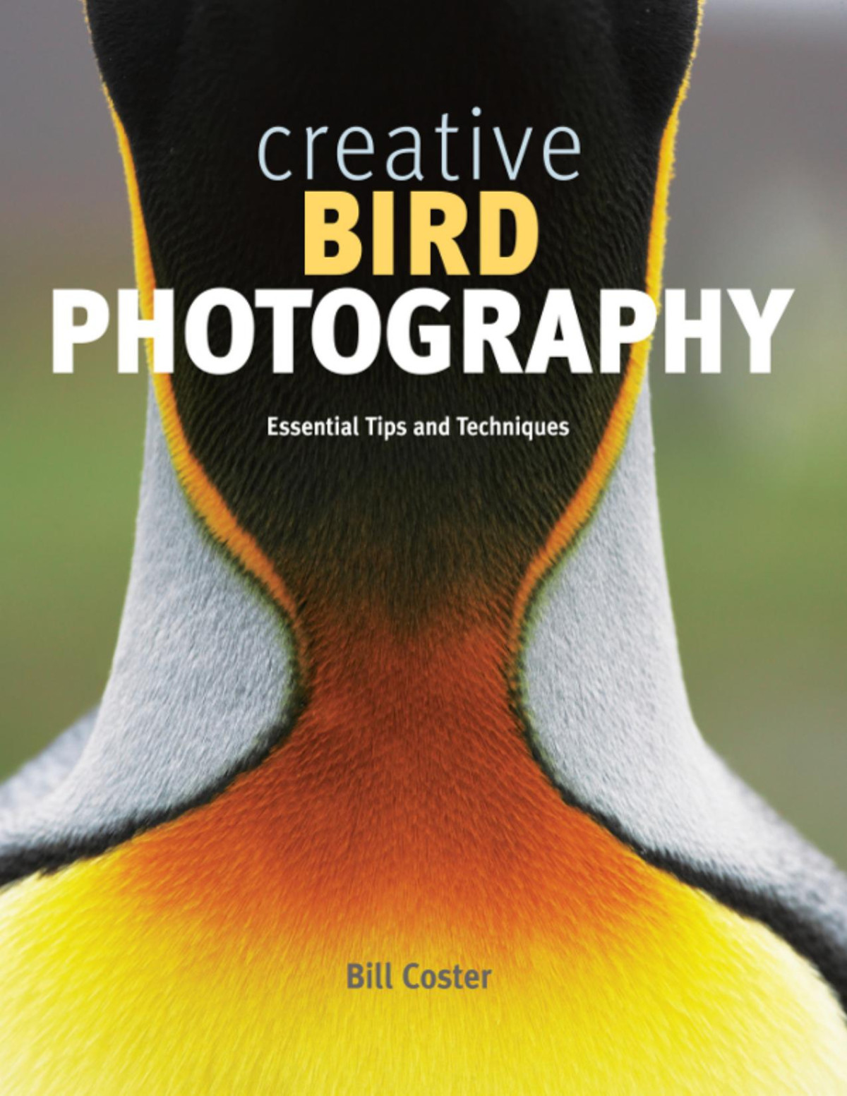 Creative Bird Photography Bill Coster