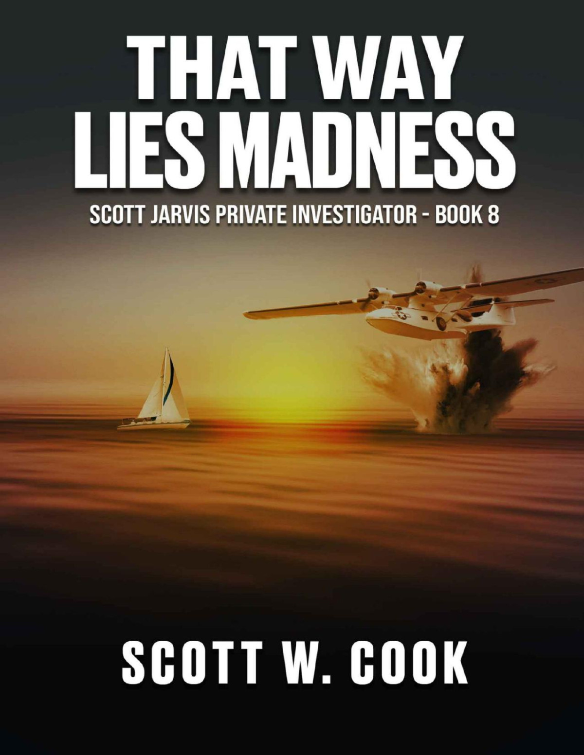 That Way Lies Madness A Florida Action Adventure Novel Scott Jarvis Private Investigator Book 8 Scott Cook