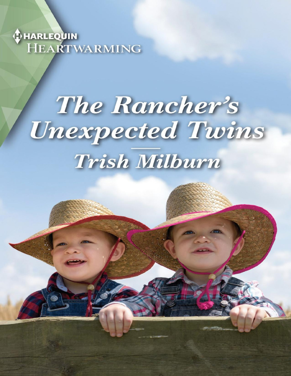 The Ranchers Unexpected Twinsa Clean Romance Trish Milburn