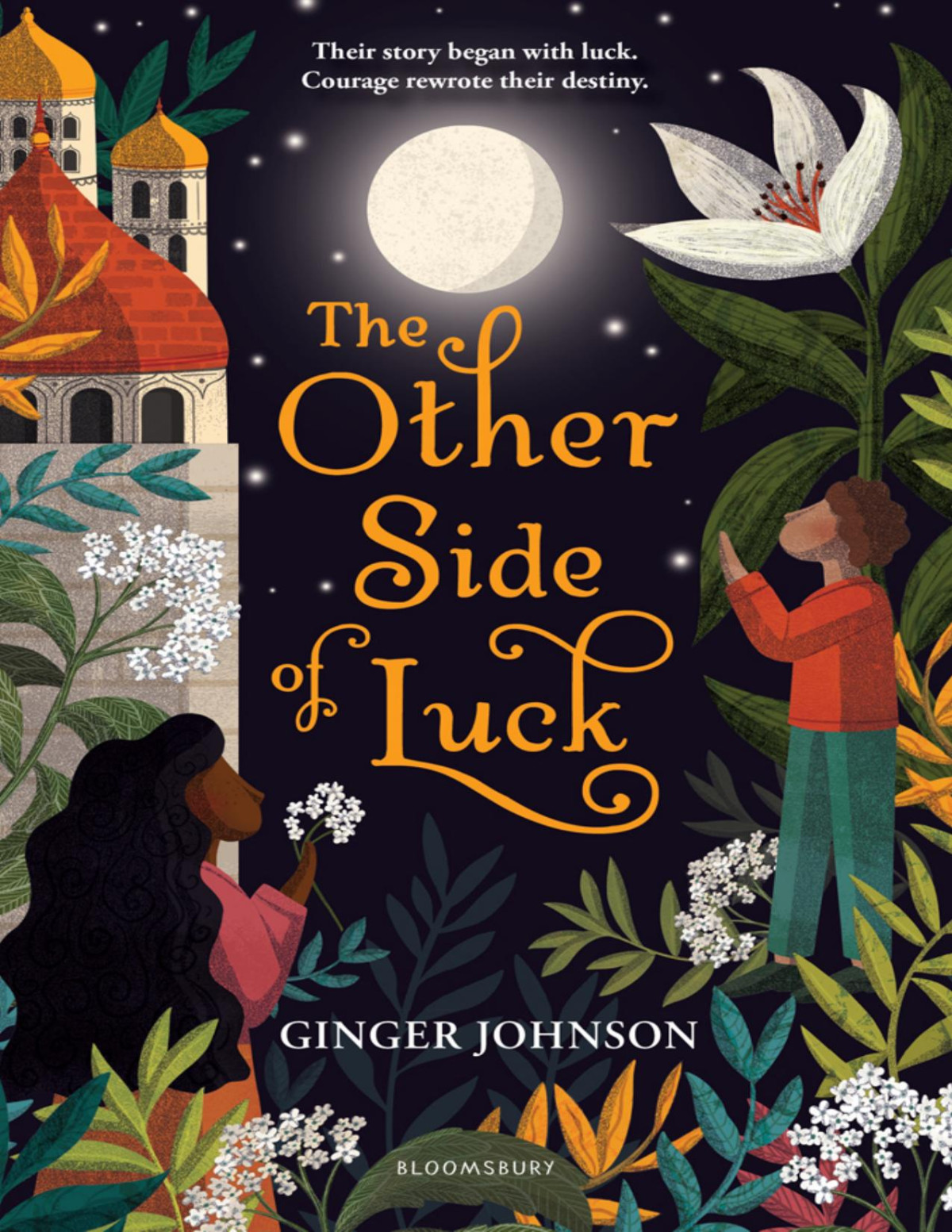 The Other Side Of Luck Ginger Johnson