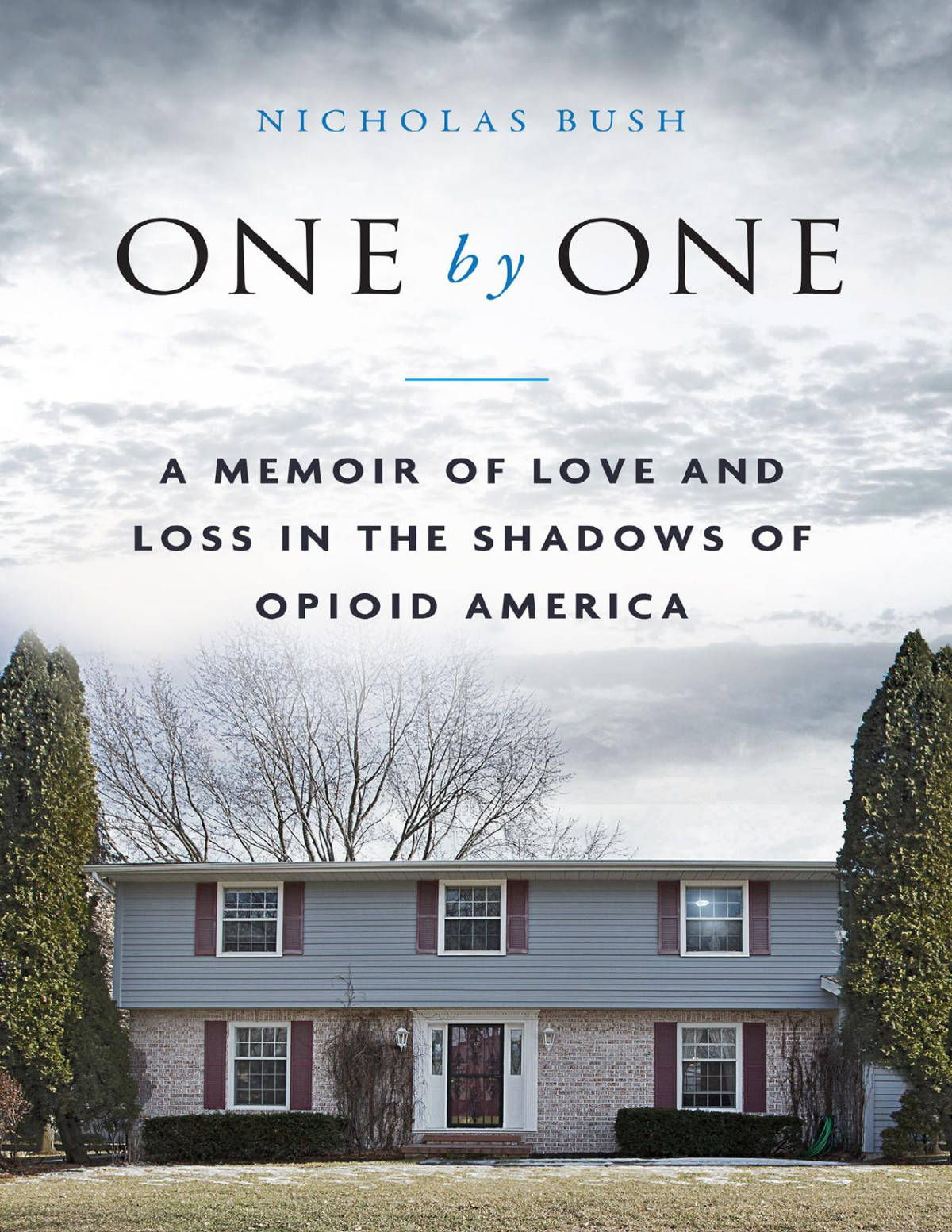 One By One Nicholas Bush
