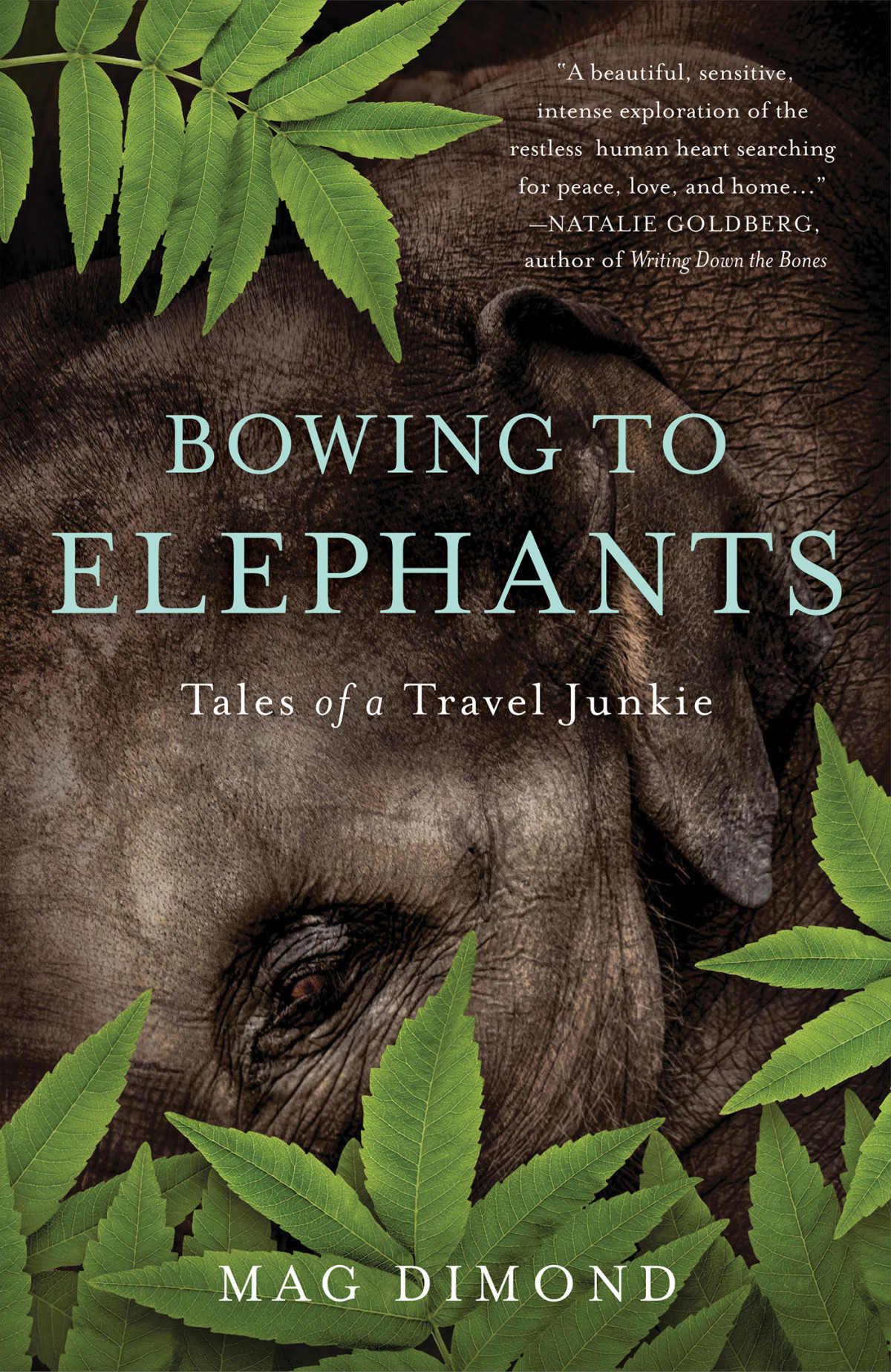 Bowing To Elephants Tales Of A Travel Junkie Mag Dimond