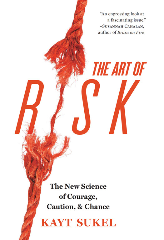 The Art Of Risk Kayt Sukel