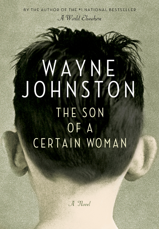 The Son Of A Certain Woman Wayne Johnston