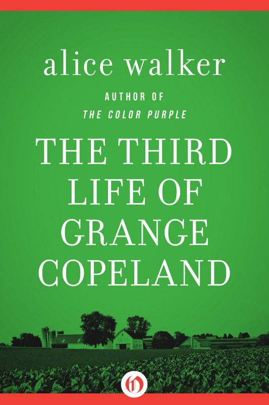 The Third Life Of Grange Copeland Alice Walker