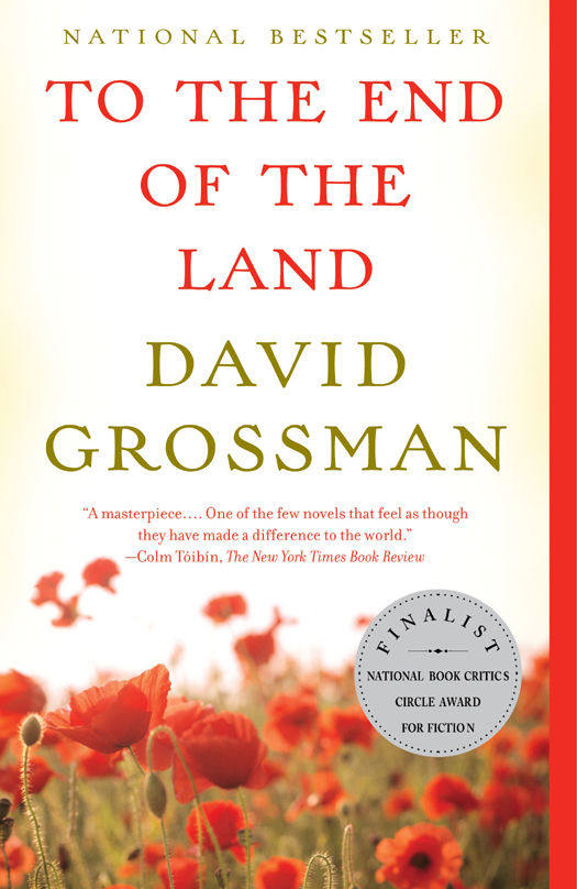 To The End Of The Land Vintage International David Grossman