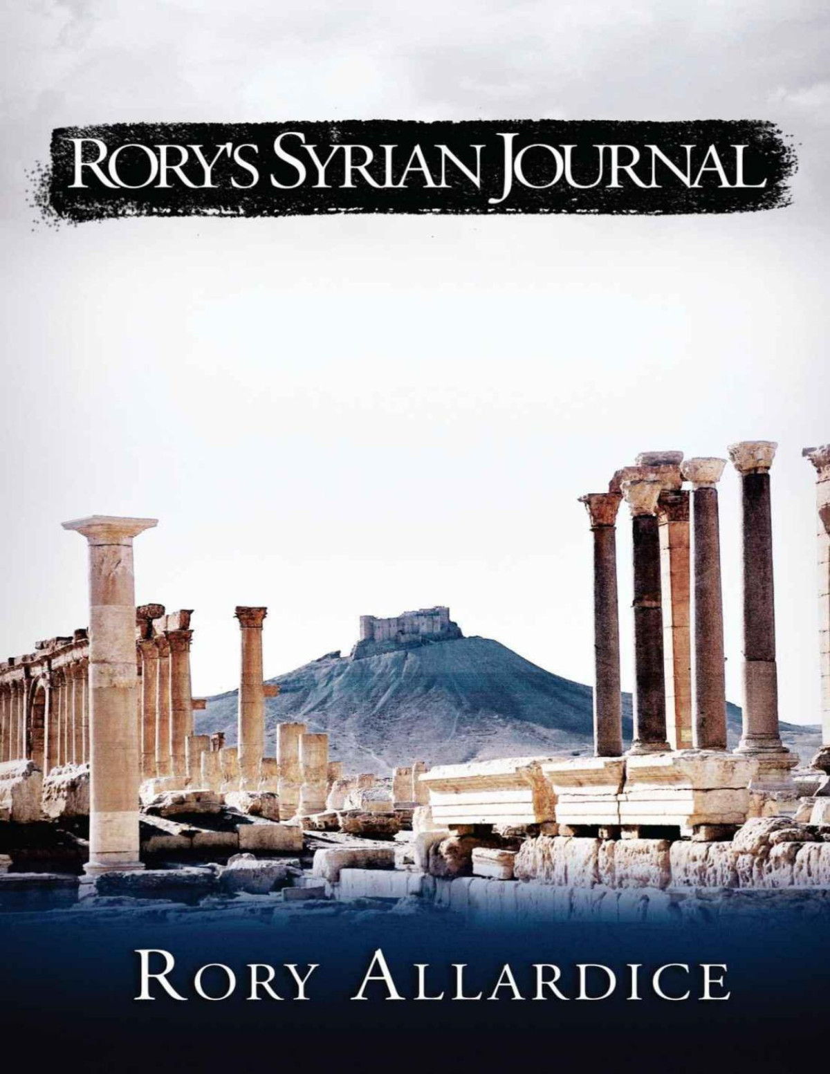 Rorys Syrian Journal Allardice Rory