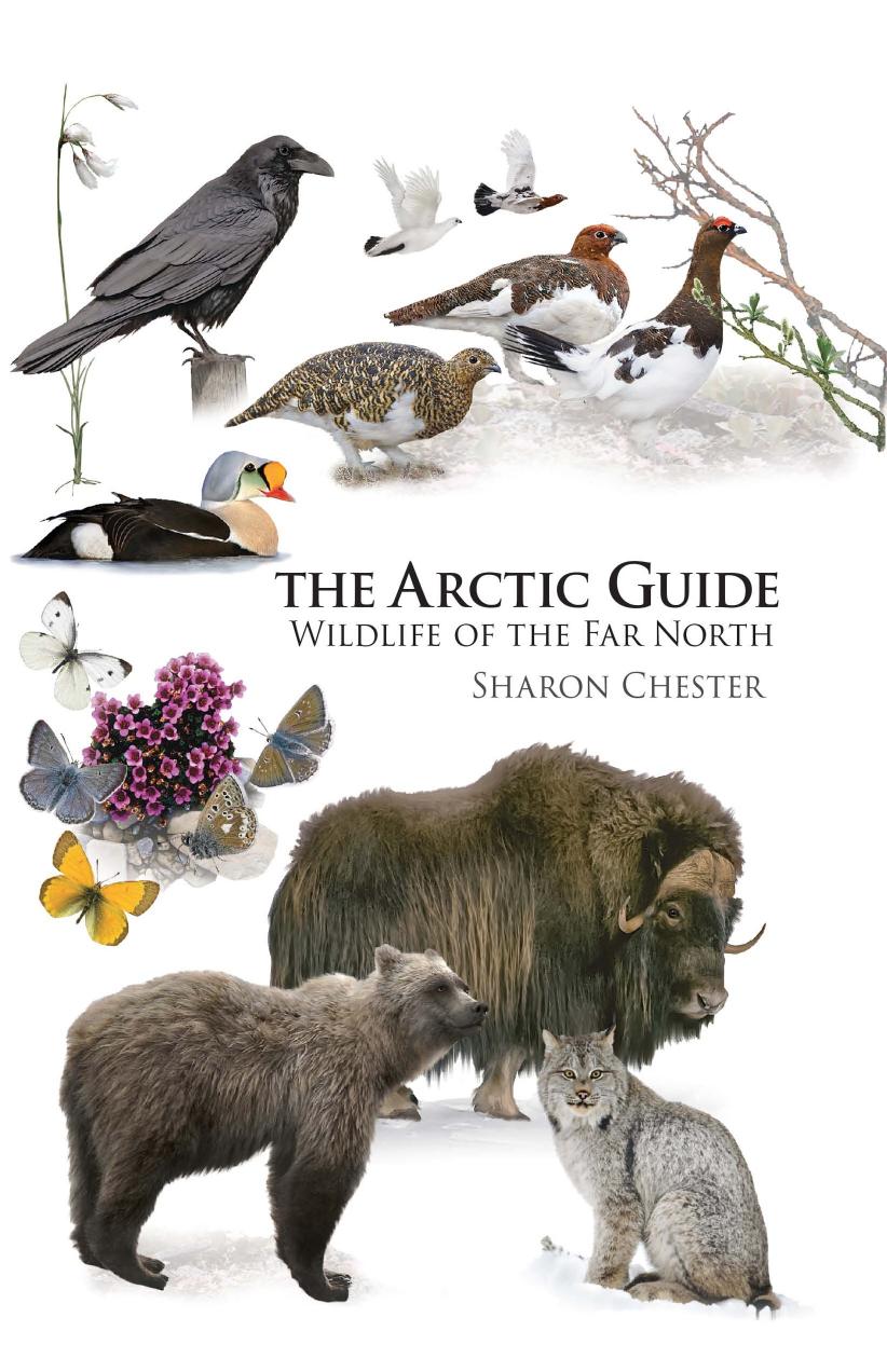The Arctic Guide Wildlife Of The Far North 1st Edition Sharon Chester