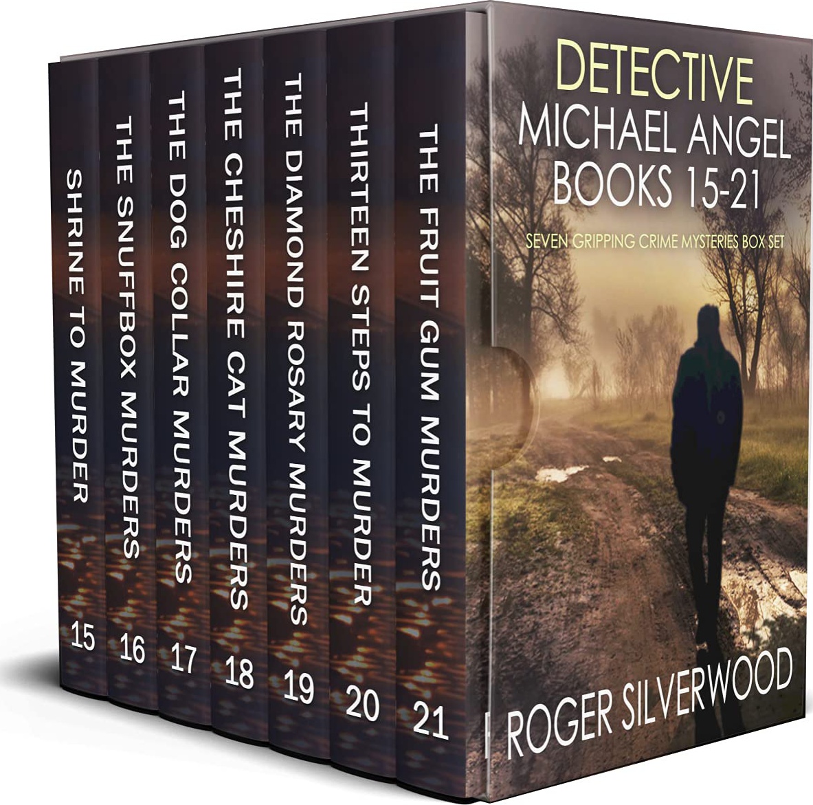 Detective Michael Angel Books 1521 Roger Silverwood