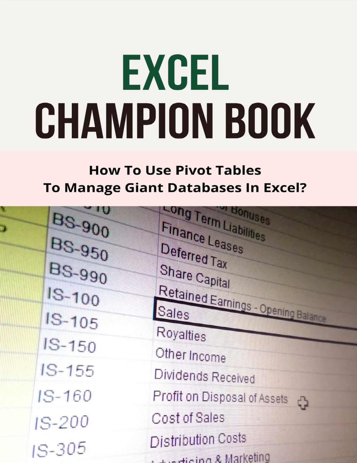 Excel Champion Book How To Use Pivot Tables To Manage Giant Databases In Excel Fierro