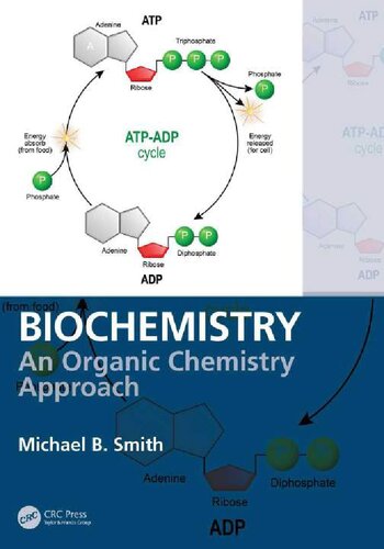 Biochemistry An Organic Chemistry Approach Michael B Smith