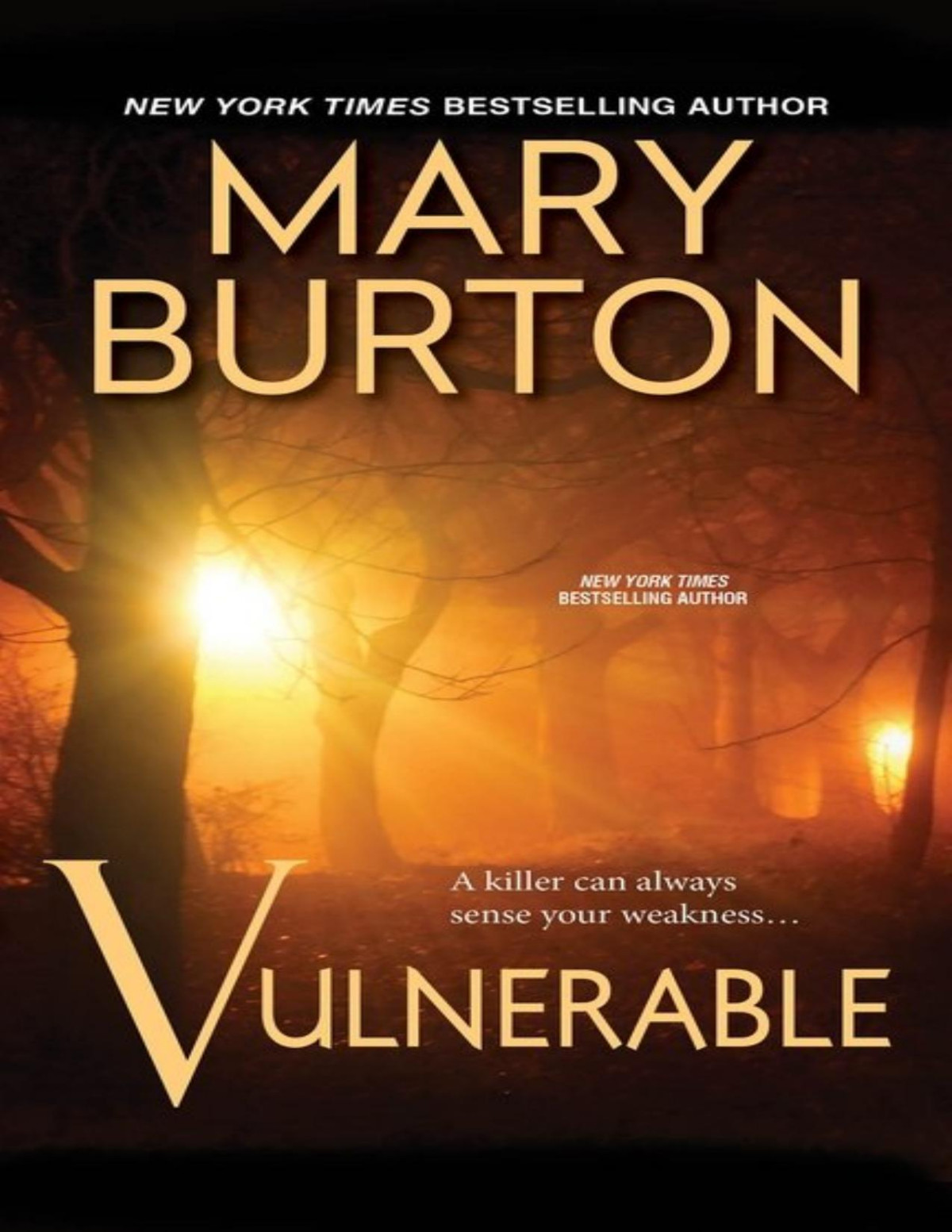 Vulnerable Mary Burton