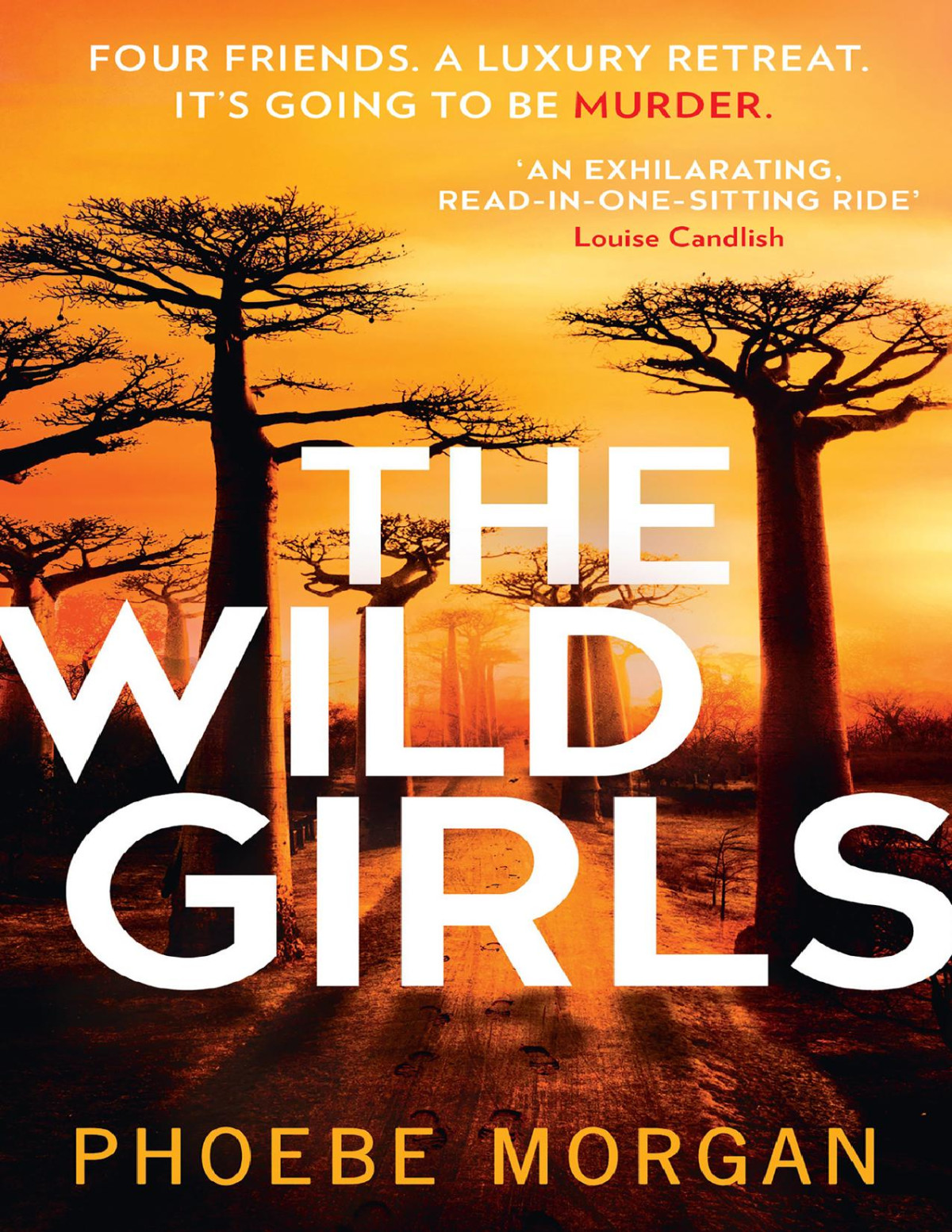 The Wild Girls Phoebe Morgan