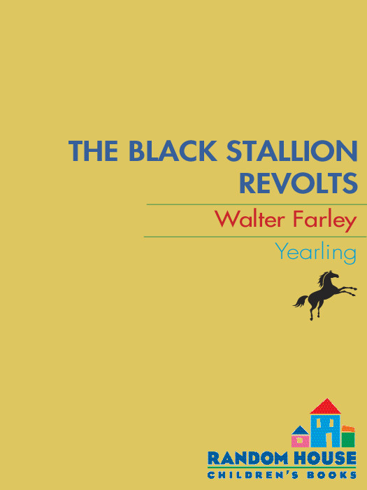 The Black Stallion Revolts Walter Farley