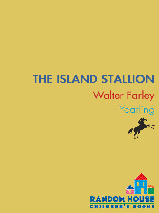 The Island Stallion Walter Farley