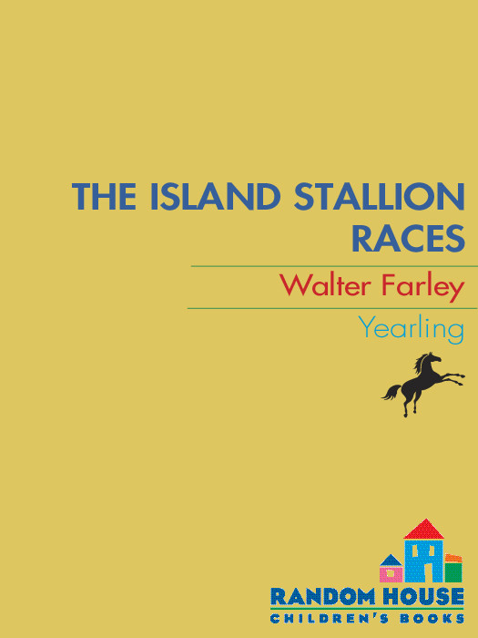 The Island Stallion Races Walter Farley