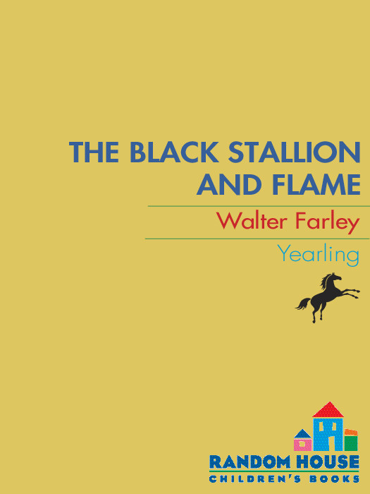 The Black Stallion And Flame Walter Farley