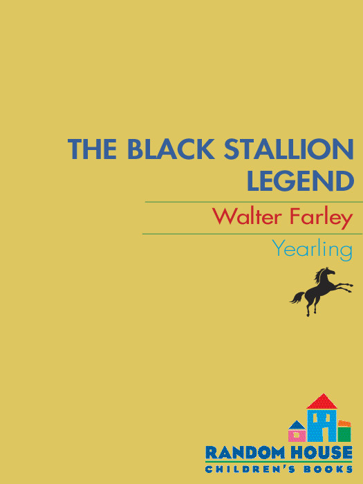 The Black Stallion Legend Walter Farley