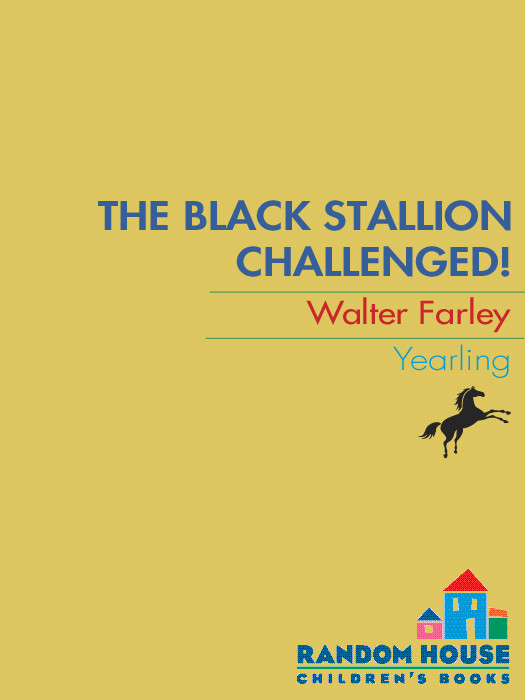 The Black Stallion Challenged Walter Farley